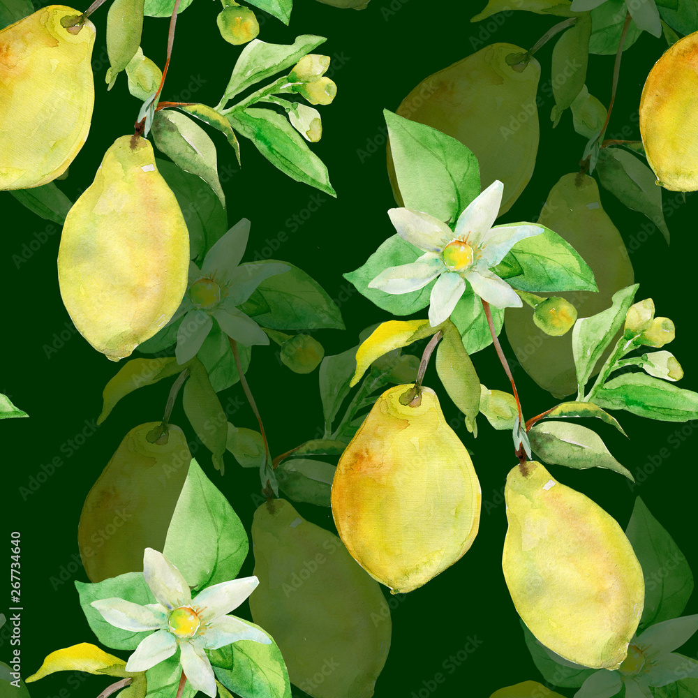 Obraz premium Seamless Pattern lemon on white and color background.