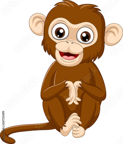 Cute baby monkey sitting on white background