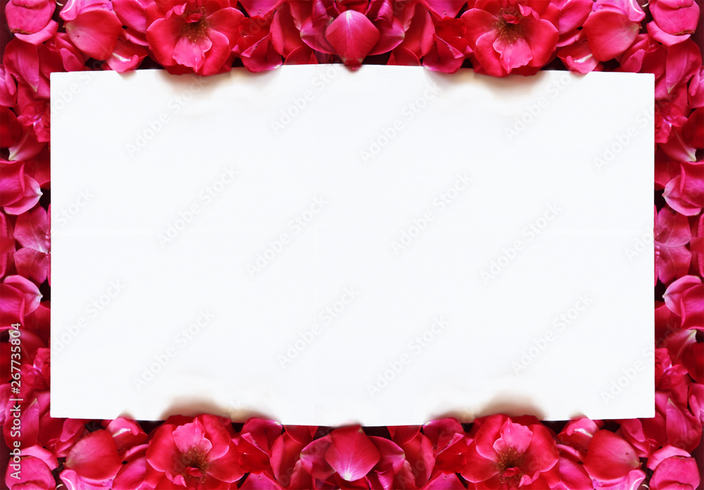 White rectangle background with  a frame done with red rose and petals