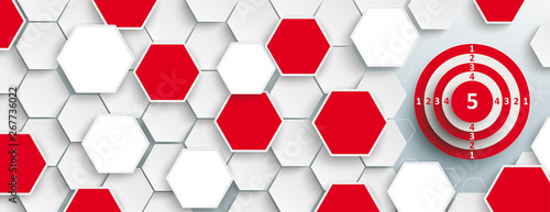 White Hexagon Structure Red Target Header