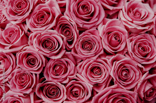 Pink natural roses background for wedding or Valentine day. Top down view.
