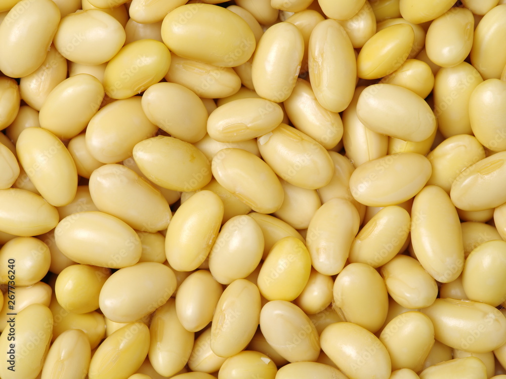 soybean background