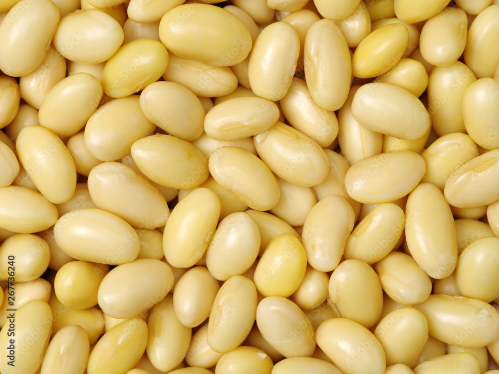 soybean background soybean background