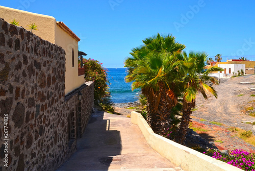 Beautiful street by the ocean with palm trees in La Caleta fishing village, Tenerife,Canary Islands,Spain.Summer vacation or travel concept.