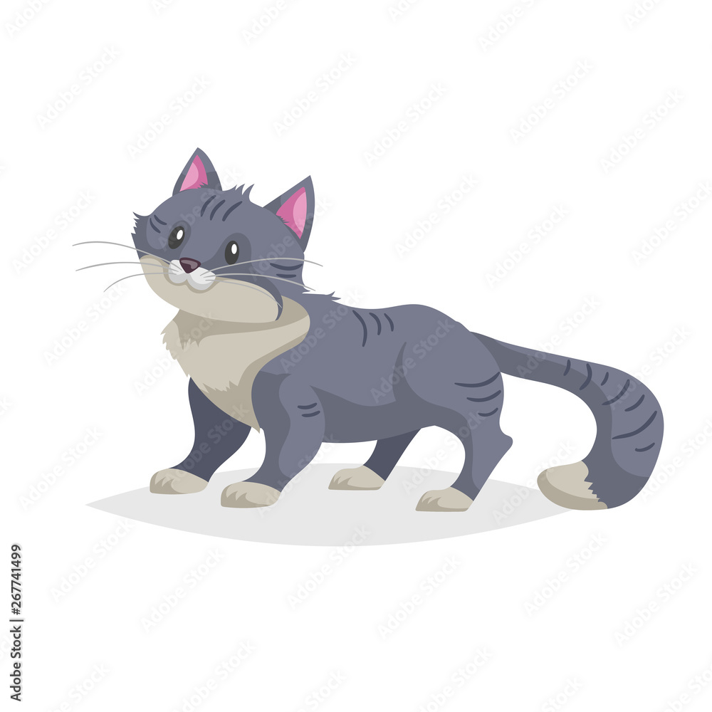 Cute gray cartoon cat stand. Domestic farm animal. Pet drawing. Flat comic style. Ideal for education. Vector illustration isolated on white background.