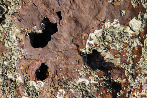 Closeup of ancient iron rock surface with holes and barnacles. The nature of earth. 