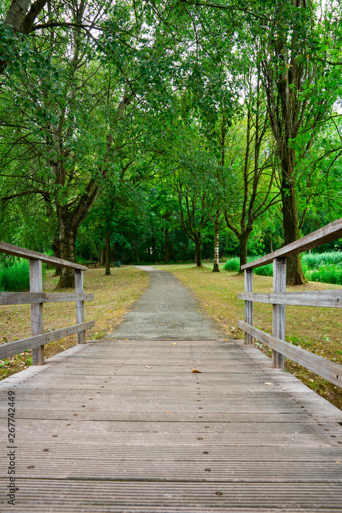 hiking path with bridge in National Park Biesbosch, Merwelanden, Dordrecht, The Netherlands