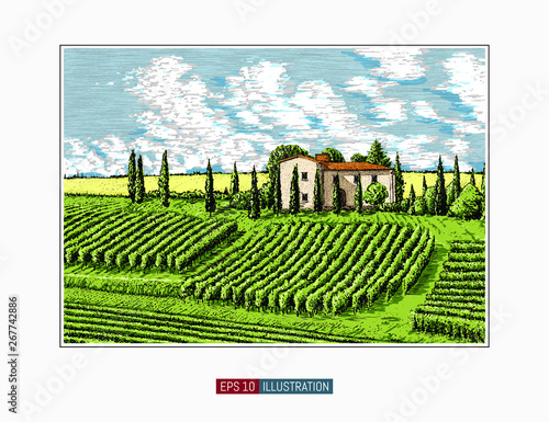 Hand drawn landscape. Antique house, garden, vineyard. Abstract nature background. Template for your design works. Engraved style vector illustration.