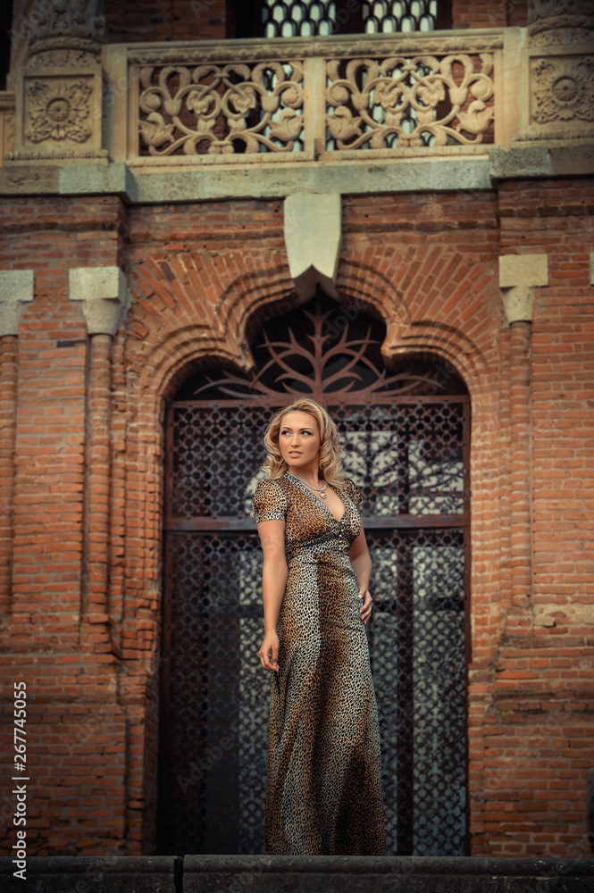 Obraz premium Elegant blonde woman posing against a brick wall wearing a animal print dress.