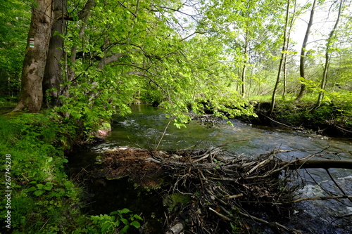 river runs