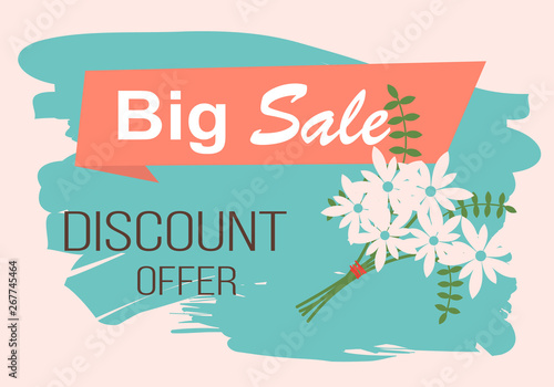Sale, discount and best offer, label for springtime promotion and advertising, daisy bouquet. Advertisement decorated by flowers, greeting for ladies vector. Early spring and summer flower for wedding