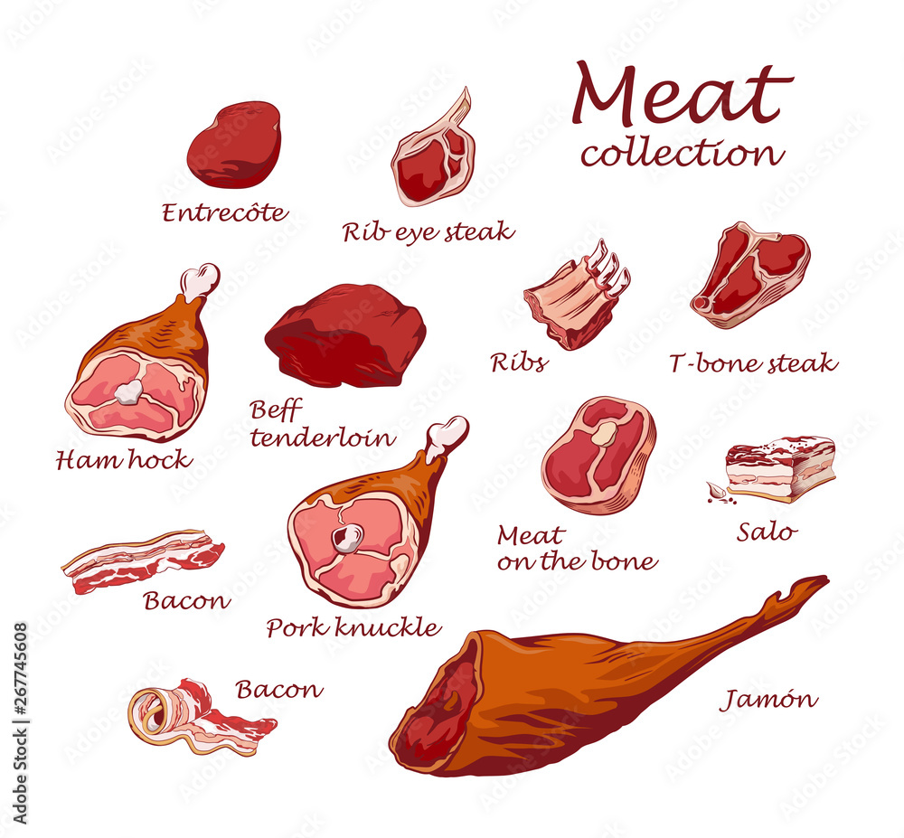 Collection of hand drawn vintage style food ingredients. Outline retro