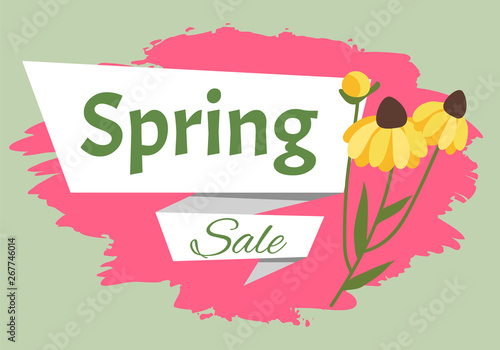 Sale, discount and best offer, label for springtime promotion and advertising, daisy bouquet. Advertisement decorated by flowers, greeting for ladies vector. Early spring and summer flower for wedding