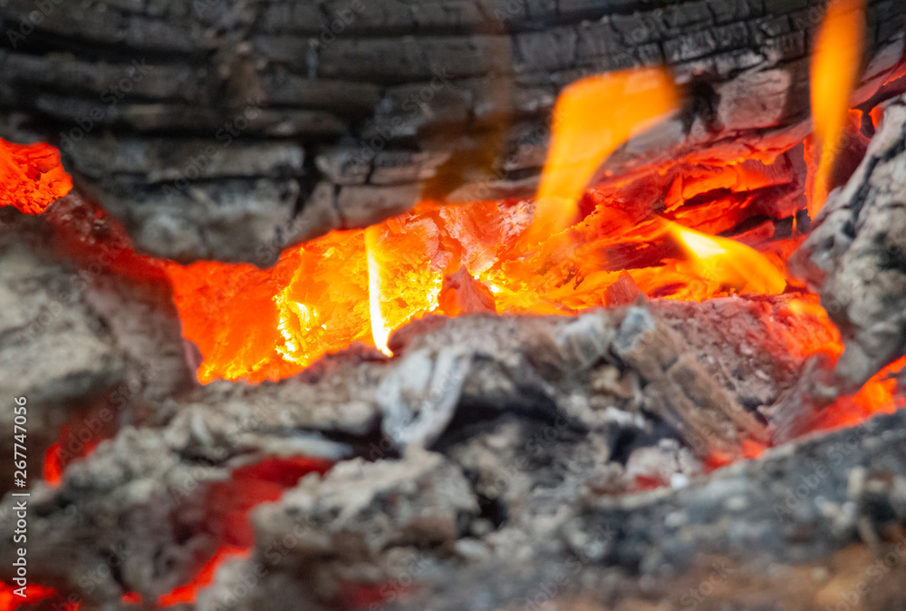 Camping Fire, Campfire at night, Bonfire in the forest, burning firewood Camping Fire, Campfire at night, Bonfire in the forest, burning firewood