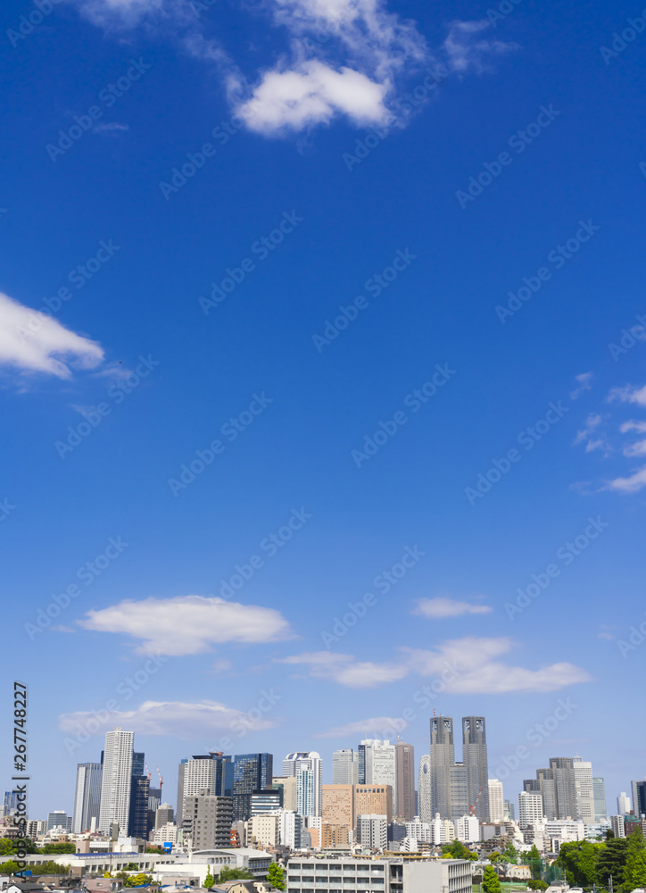 東京風景 新宿　高層ビル群　緑と青空　大空コピースペース　令和元年　春