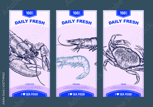 Sea food banners set. Hand drawn sea animals. Template for your design works. vector illustration.