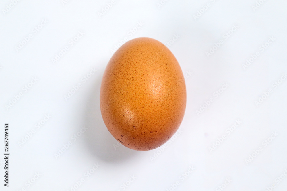 chicken egg isolated on white background chicken egg isolated on white background