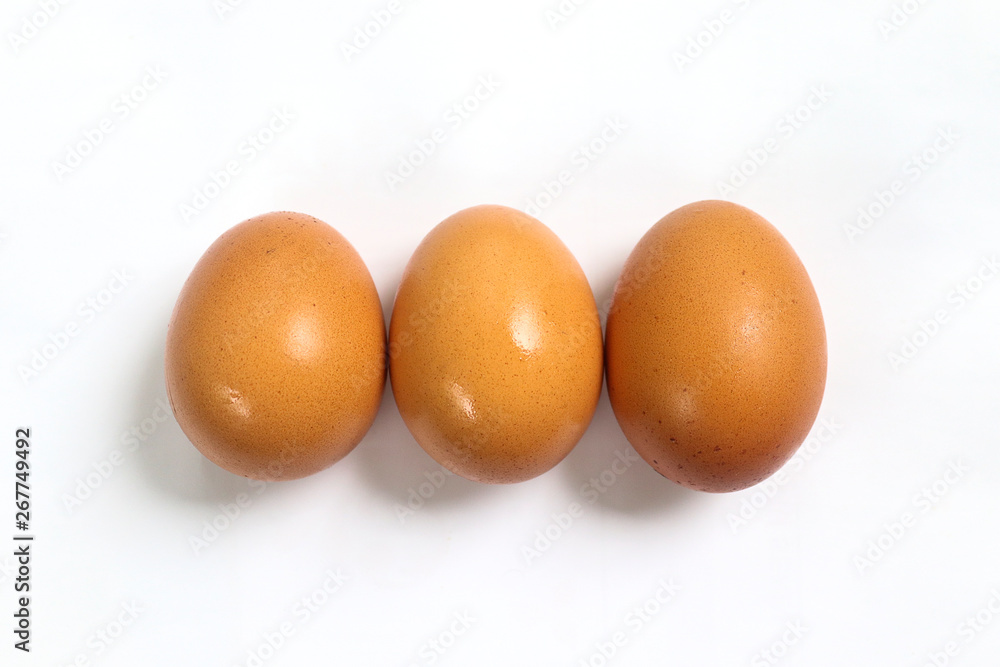 chicken egg isolated on white background chicken egg isolated on white background