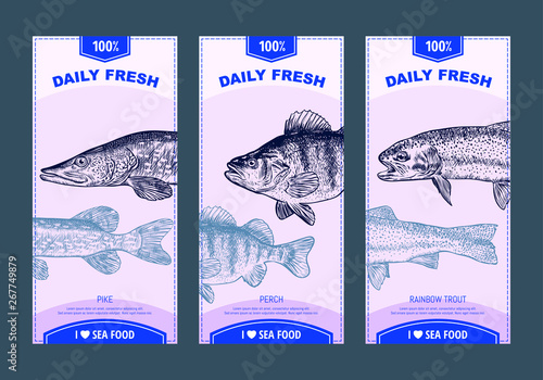 Sea food banners set. Hand drawn sea animals. Template for your design works. vector illustration.
