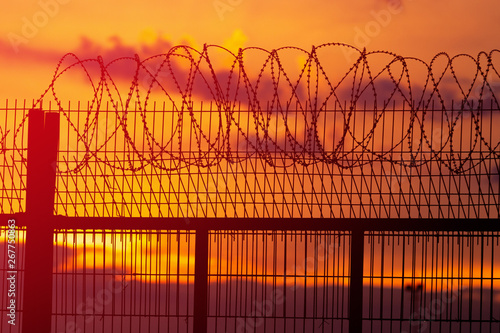 Spiny fence on the background of a fiery, bright sunset. 