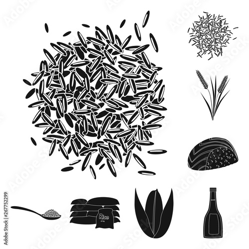 Isolated object of diet and cooking sign. Set of diet and organic stock vector illustration.
