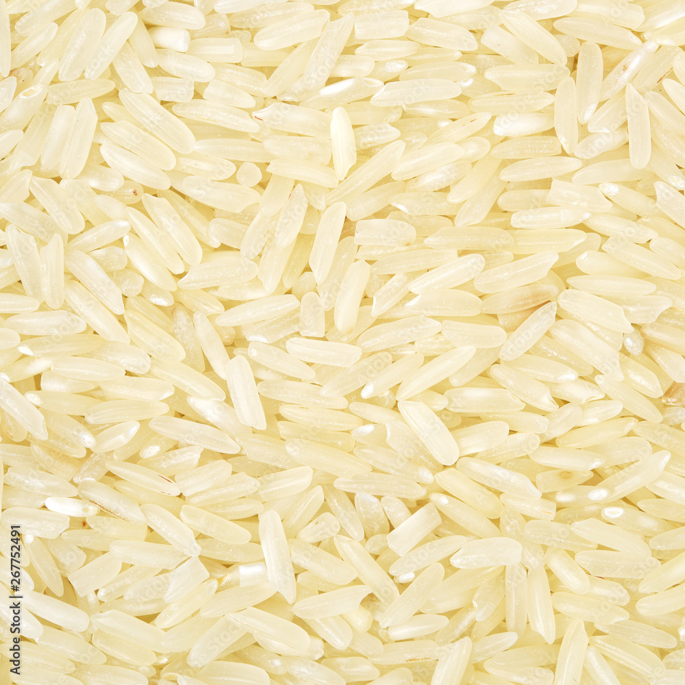 Fototapeta premium close up shot of the rice background
