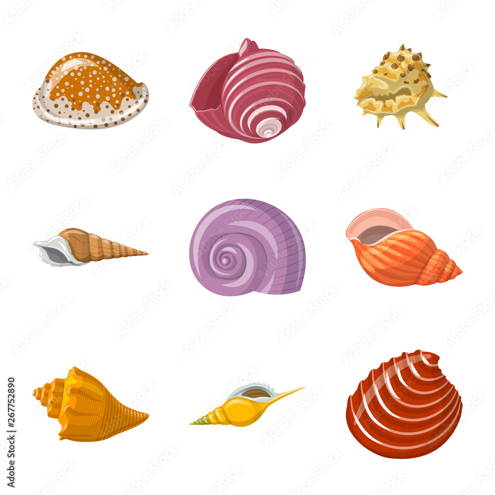 Vector design of seashell and mollusk sign. Collection of seashell and seafood vector icon for stock. Vector design of seashell and mollusk sign. Collection of seashell and seafood vector icon for stock.