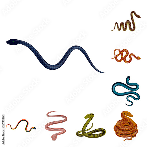 Isolated object of poison and evil icon. Collection of poison and bite stock vector illustration.