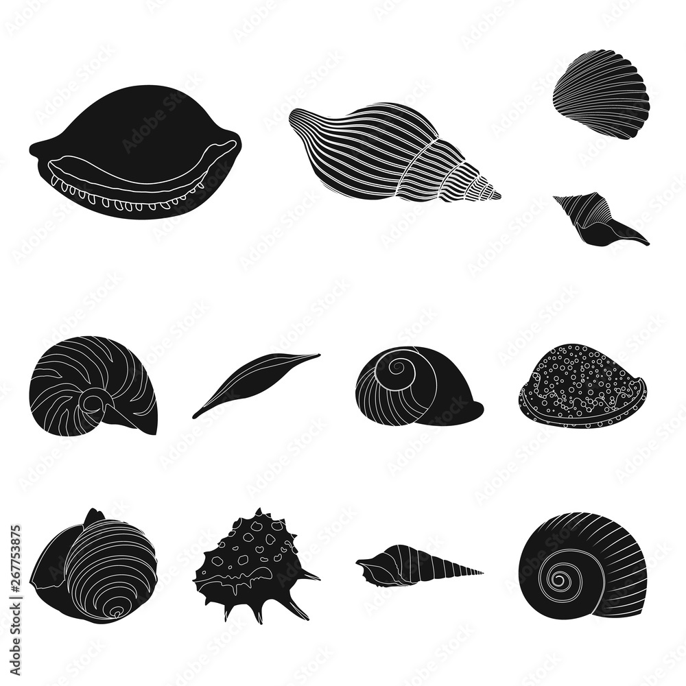 Vector illustration of nature and ocean sign. Collection of nature and mollusk vector icon for stock. Vector illustration of nature and ocean sign. Collection of nature and mollusk vector icon for stock.
