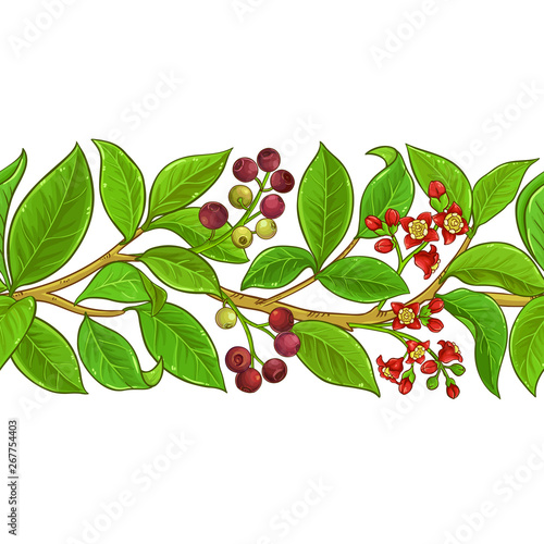 sandalwood vector pattern
