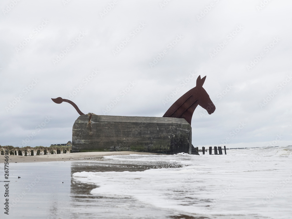 Fototapeta premium Maultier in Blåvand