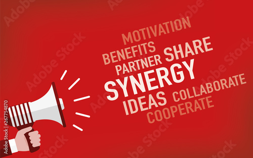 Synergy Concept