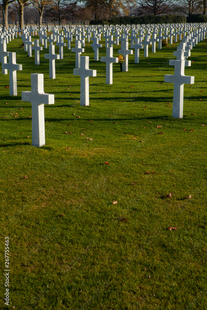 Graveyard American Soldieres World War II Margraten Netherlands