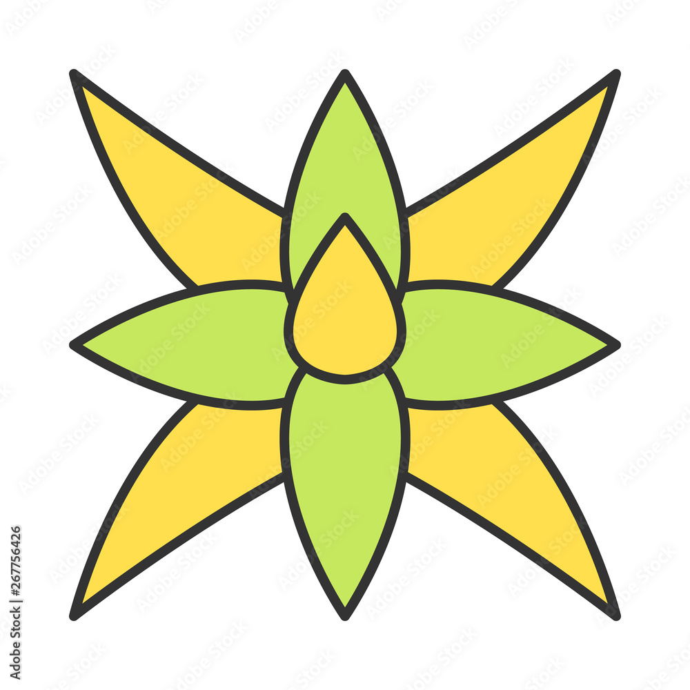 Fox tail agave color icon