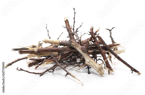 Fotografie, Obraz Dry branches, twigs isolated on white background