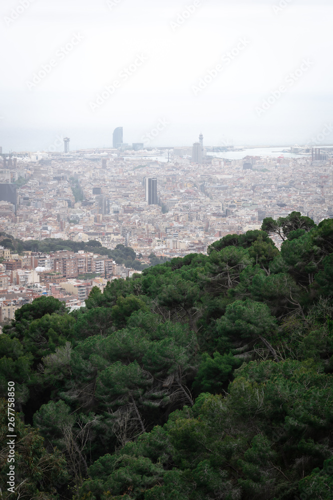 Fototapeta premium Point of view of the city of Barcelona since Tibidabo with a forest in foreground and under a grey sky. Catalonia, Spain.