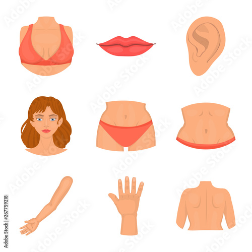 Vector illustration of body and part logo. Set of body and anatomy stock symbol for web.