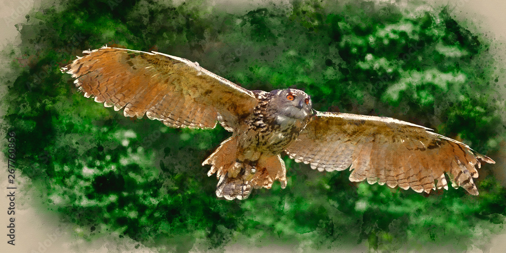 Watercolour painting of Stunning European eagle owl in flight Watercolour painting of Stunning European eagle owl in flight