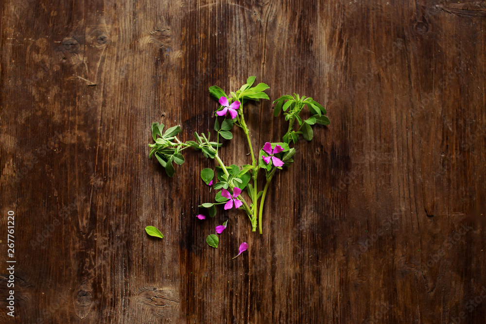 Wild flowers flat lay on wooden background Wild flowers flat lay on wooden background