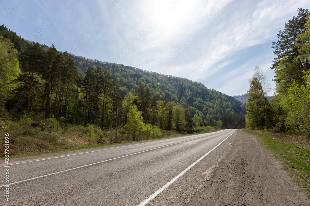 Fototapeta premium chemal, katun