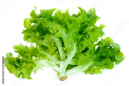 Fresh lettuce leaves isolated on white background