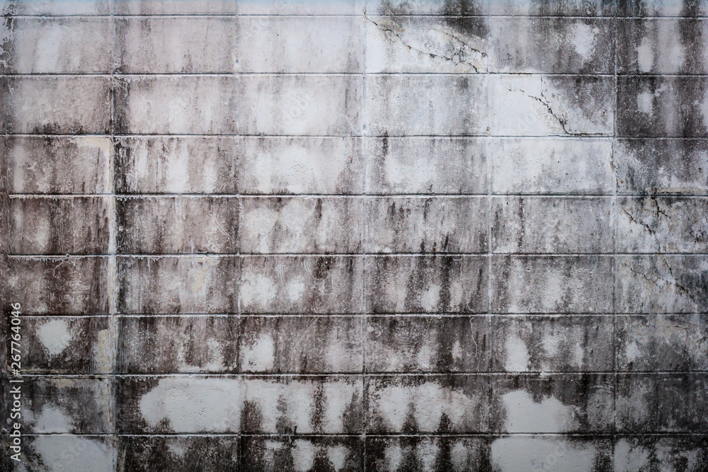 Naklejka premium grey brick wall for background