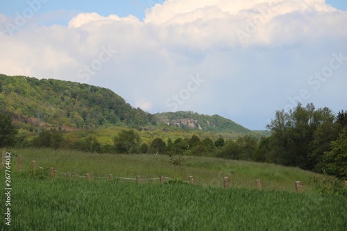 wild green areas with rocks in the background