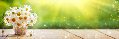 Bouquet of camomile flowers on wood table in nature green background, in summer morning.