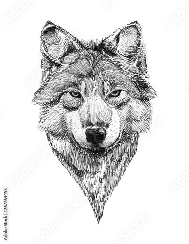Black Ink Tattoo Hand Drawn Wolf Portrait