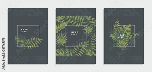 Tropical background with exotic jungle leaves. Flyer, brochure, corporate identity.