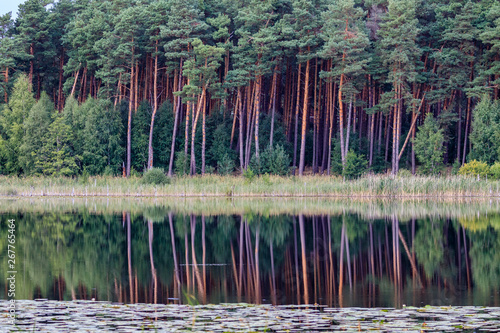 lago nel parco nazionale di Muritz photo