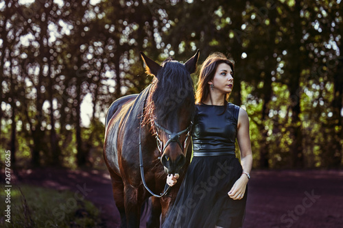 A young slim brunette woman in a black dress is walking along the road and leading a dark brown horse on a leash. Sunny summer evening. Close-up.
