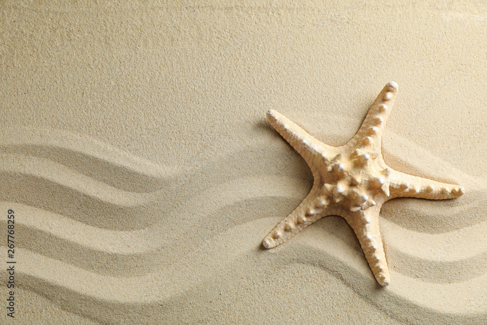 Clear sea sand with starfish, space for text. Summer vacation background Clear sea sand with starfish, space for text. Summer vacation background