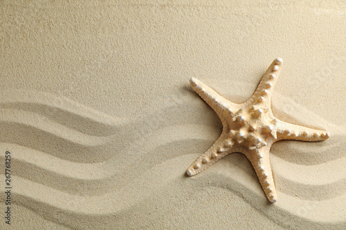 Clear sea sand with starfish, space for text. Summer vacation background